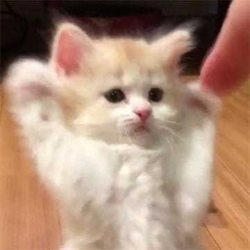 Ảnh đại diện người dùng Mai